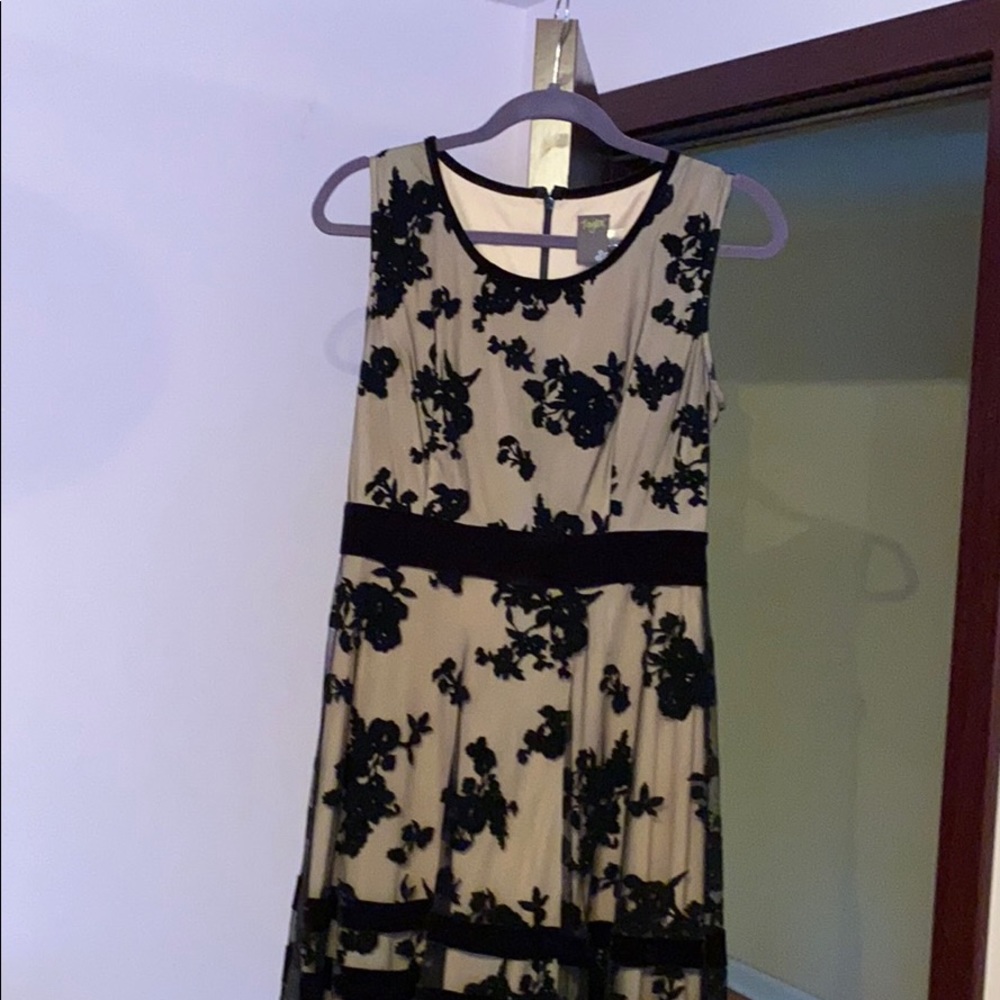 Taylor dress